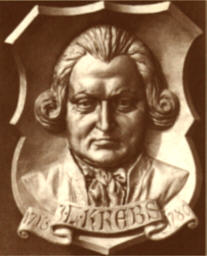 Johann Ludwig Krebs